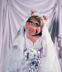 A promotional photo of the dress used for the wedding sketch.
