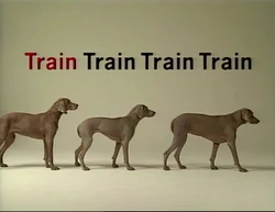 Wegman-Train