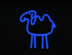 1153-secretdrawingcamel