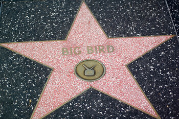 Big BirdInducted on April 21, 1994 7021 Hollywood Blvd