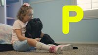 P is for Pets
