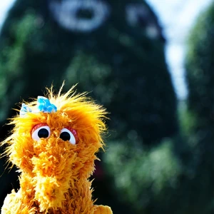 Sesame Place Alice plush