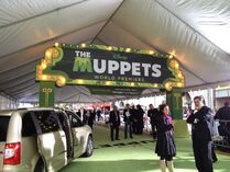 TheMuppets-WorldPremiere-ElCapitan-(2011-11-12)-01