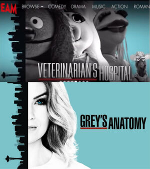 Vets-Greys