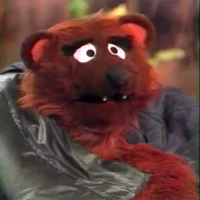 bear in Sing-Along Earth Songs