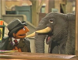 elephant in Episode 3086