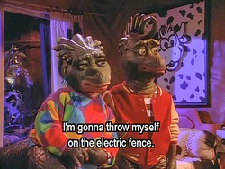 DIN411 electric fence