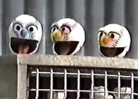 baseball on Good Morning America