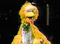 BeinGreen.Bbird.jpg