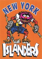 #40. New York Islanders