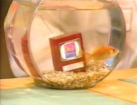 Dorothy's miniature TV set