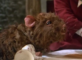 Thedormouse.jpg (70 KB) Dormouse Dreamchild