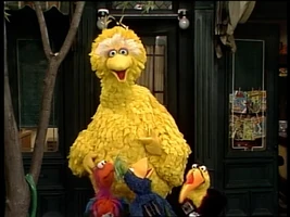 toucan in Episode 2543