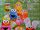 Sesame Street Easter egg kits (Dudley's)