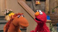 Show Topic: Horses (Elmo and AM horse)