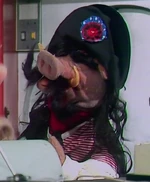 Captain Blueboar, The Muppet Show