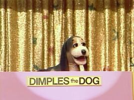Dimples the Dog