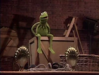 219 bein green.jpg