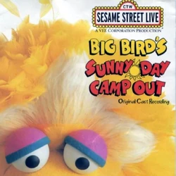 Album.bigbird-'ssunnydaycamp.jpg