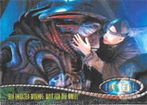 "Self Inflicted Wounds: Wait for the Wheel"" 158