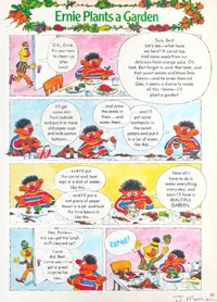 Big Bird's Busy Book* 1975