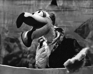 Opera star  makes his debut in .