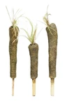#170 ― The Dark Crystal: Age of Resistance ― Endless Forest Carrot-Like Plant Set Dressing Props (sold for $500)