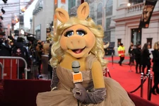 Piggy baftas 2012.jpg (63 KB) Miss Piggy on the red carpet at the 2012 awards.