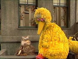 2195a.jpeg (53 KB) "Hoots' Song"