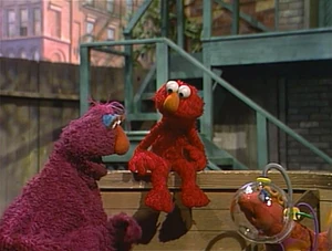 Elmo and Telly meet .