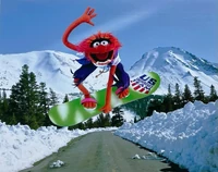 AnimalSnowboard-1.jpg (325 KB)