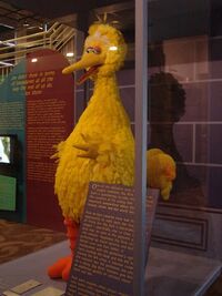 Big BIrd 2010 RD