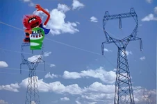 AnimalSnowboard-2.jpg (252 KB)