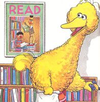 Ernie and Bert READ