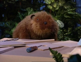 Jacques the BeaverBear in the Big Blue House