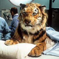 Jake in Dr. Dolittle