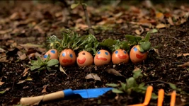 G is for Garden (First: Episode 4611)