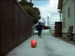 Attackofthekillertomatoes