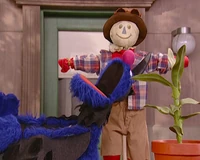 Global Grover: Poland