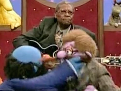 BB King bears
