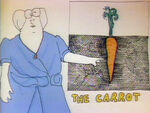 The Carrot (First: Episode 1132)