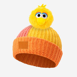 Sesame Street hats (Love Your Melon), Muppet Wiki