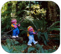 A5 The girls pick up wood in the beautiful forest...