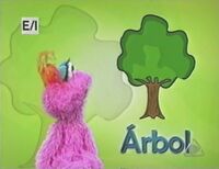 A - Árbol (Lola) (First: Episodio 930)