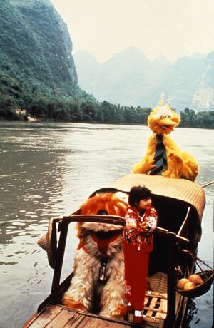 BigBird&BarkleyInChina