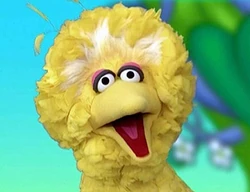 Bigbird-j2e.jpg