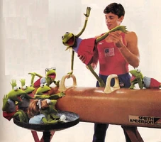 Mitch Gaylord, gymnast