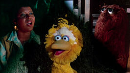 Follow That BirdBig Bird, Olivia and Snuffy look out to the same star as they sing "One Little Star."