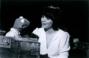 Ronstadt.jpg (790 KB) Linda Ronstadt and Kermit