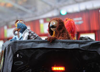 TheMuppets-WorldPremiere-ElCapitan-(2011-11-12)-16